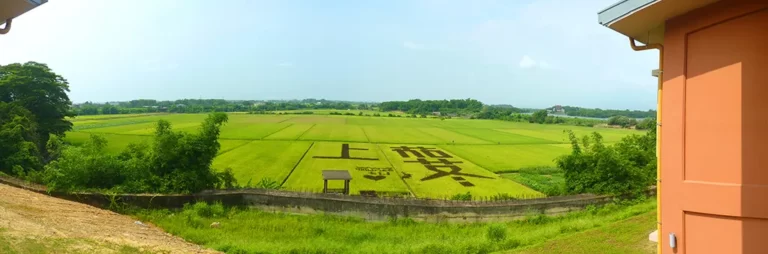 後壁彩繪稻田