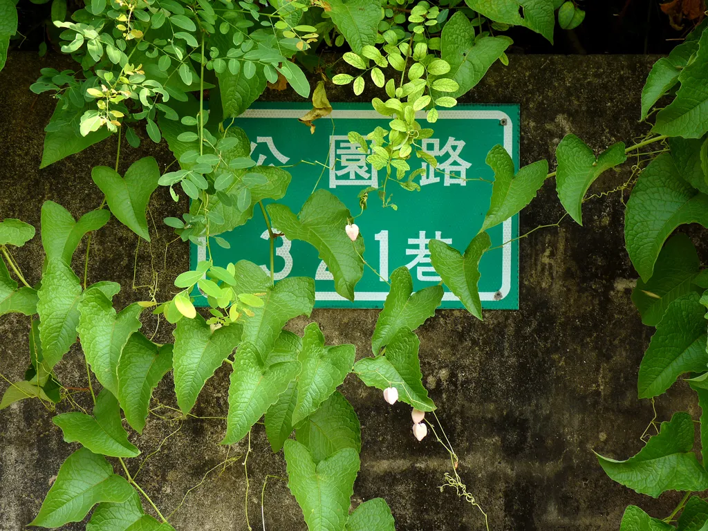 台南-321巷藝術聚落